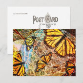 Schmetterlingssammlung Postkarte (Vorne/Hinten)