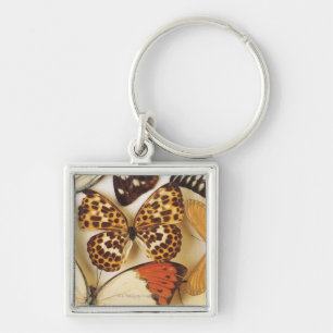 Schmetterlingssammlung Schlüsselanhänger