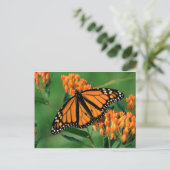 Schmetterlingsschmetterling Postkarte (Stehend Vorderseite)