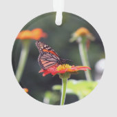 Schmetterlingsschmuck Ornament (Rückseite)