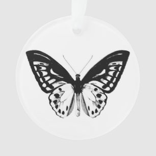 Schmetterlingsskizze, schwarz und weiß ornament