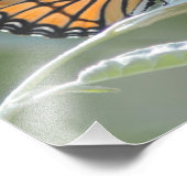 Schmetterlingsstütze auf einem Sockel Fotodruck (Ecke)