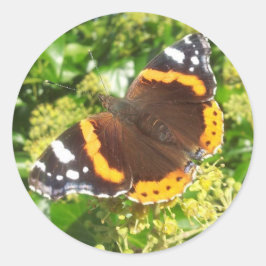 Schmetterlingsticker, Aufkleber