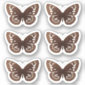 Schmetterlingsticker Aufkleber (Vorderseite)