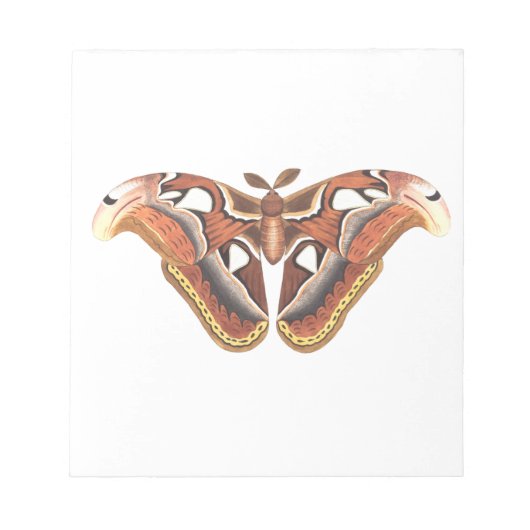 Schmetterlingstierinsekt abgeschieden notizblock (Vorderseite)