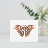 Schmetterlingstierinsekt abgeschieden postkarte (Stehend Vorderseite)