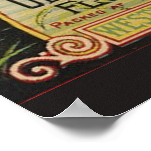 Schmetterlingstitel Poster (Ecke)