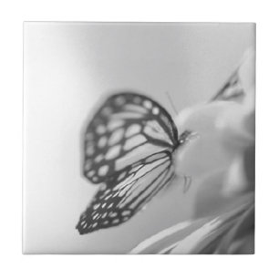 Schmetterlingsträume Fliese