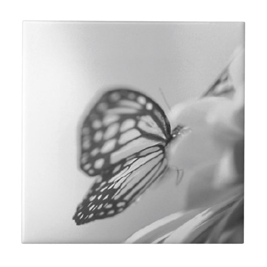 Schmetterlingsträume Fliese (Vorderseite)