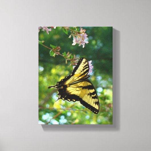 Schmetterlingsträume Leinwanddruck (Vorderseite)