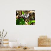 Schmetterlingsträume Poster (Küche)