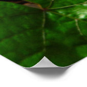 Schmetterlingsträume Poster (Ecke)