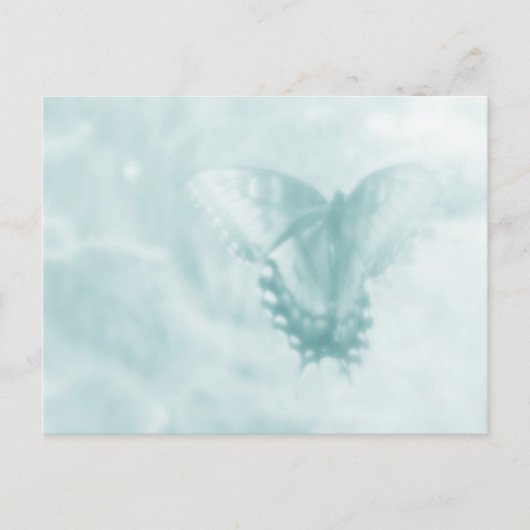 Schmetterlingsträume Postkarte (Vorderseite)