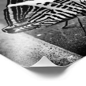 Schmetterlingsüberquerung Fotodruck (Ecke)