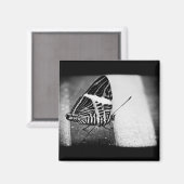 Schmetterlingsüberquerung Magnet (Vorderseite/Rückseite)