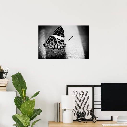 Schmetterlingsüberquerung Poster (Heimbüro)