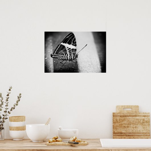 Schmetterlingsüberquerung Poster (Küche)