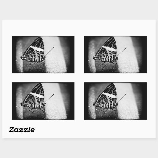 Schmetterlingsüberquerung Rechteckiger Aufkleber (Blatt)