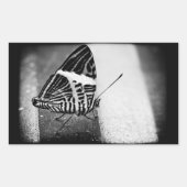 Schmetterlingsüberquerung Rechteckiger Aufkleber (Vorderseite)