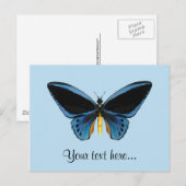 Schmetterlingsvogel Postkarte (Vorne/Hinten)