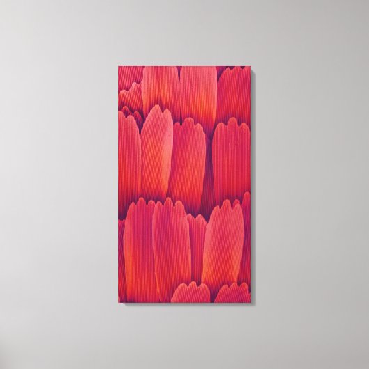 Schmetterlingswaagen Leinwanddruck (Vorderseite)