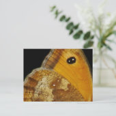 Schmetterlingswache Postkarte (Stehend Vorderseite)