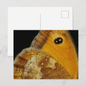 Schmetterlingswache Postkarte (Vorne/Hinten)