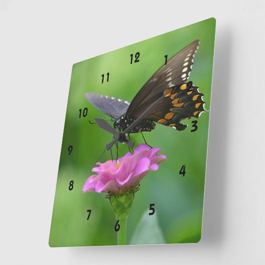 Schmetterlingswache Quadratische Wanduhr (Winkel)