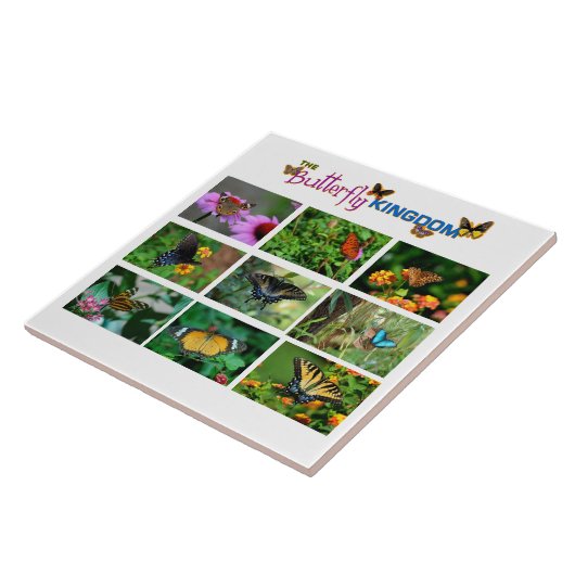 Schmetterlingswelt Fliese (Seite)
