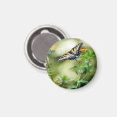 Schmetterlingswelt Magnet (Vorderseite/Rückseite)