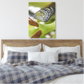Schmettern Sie nahe Leinwand hoch (Insitu (Schlafzimmer))