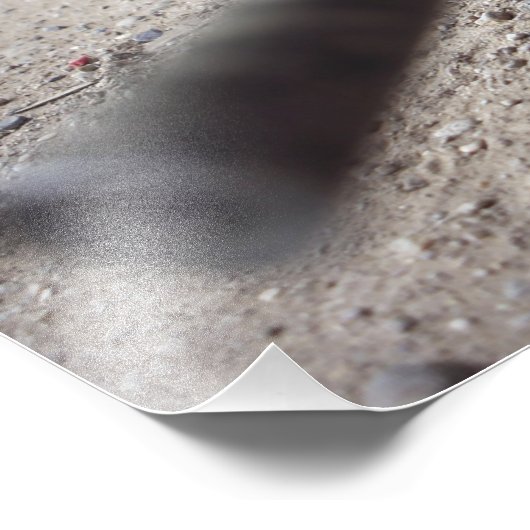 Schmidt & Bender M-854155 DS Fotodruck (Ecke)