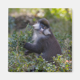 Schmidts fleckiger Affe Magnet