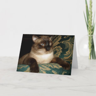 Schmollendes Siamkatze-Notizkarte Karte