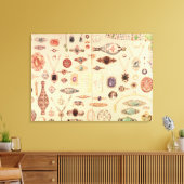 Schmuck aus dem 'Tiffany-Katalog', 1890 Leinwanddruck (Insitu (Wohnzimmer))