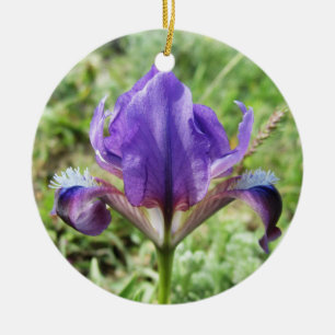 Schmuck aus wilder Iris Keramik Ornament