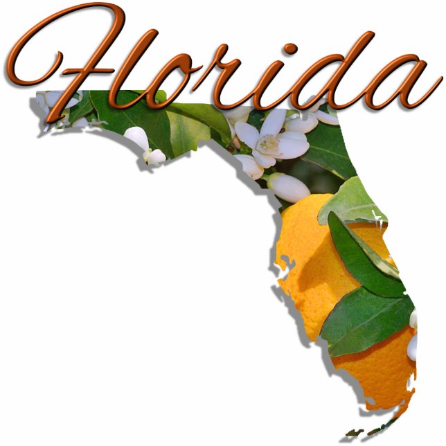 Schmuck - Button - FLORIDA Fotoskulptur Magnet (Vorne)