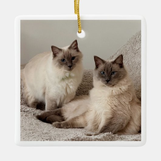 Schmuck Keramikornament (Vorderseite)