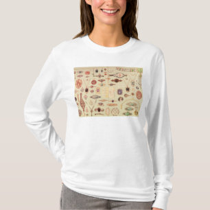 Schmuck vom "Tiffany-Katalog", 1890 T-Shirt