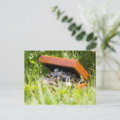 Schmuckschachtel | postkarte (Stehend Vorderseite)