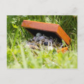 Schmuckschachtel | postkarte (Vorderseite)