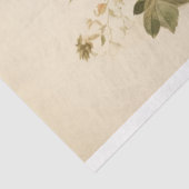 Schmuckstücke: Entfärbung des Käfigs Seidenpapier (Ausschnitt)