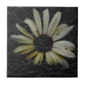 Schmutz-Gänseblümchen Fliese (Vorderseite)