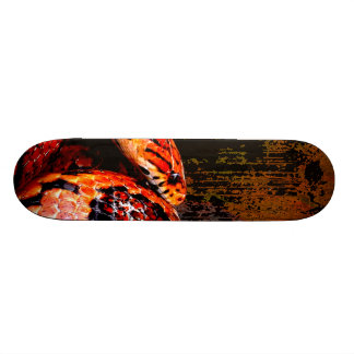 Schmutz-Mais-Schlange umwickelt Skateboard