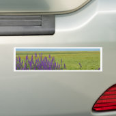 Schmutzfelder mit Lila, wilden Blume Autoaufkleber (Auf Auto)