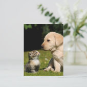 schmutzig postkarte (Stehend Vorderseite)