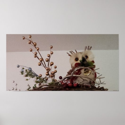 schmutzige Weihnachtskauz Poster (Vorne)