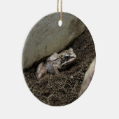 Schmutziger Frosch Keramik Ornament (Rechts)