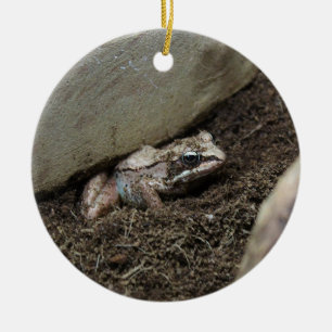 Schmutziger Frosch Keramik Ornament