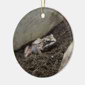 Schmutziger Frosch Keramik Ornament (Links)